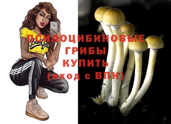 бошки Верхний Тагил