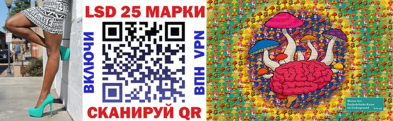 магазин    Гаврилов-Ям  Марки N-bome 1500мкг 