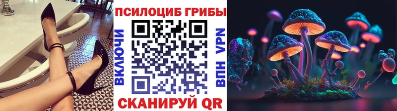 Галлюциногенные грибы MAGIC MUSHROOMS  omg ТОР  Гаврилов-Ям 