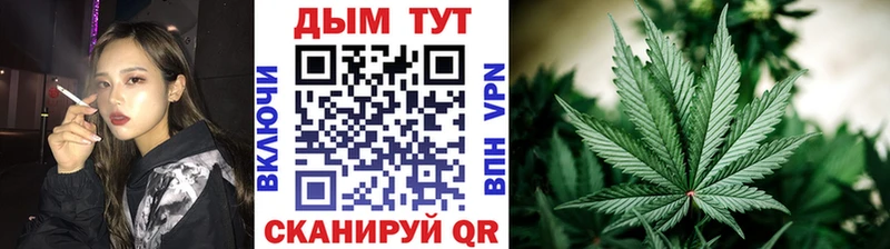 наркота  Гаврилов-Ям  Бошки марихуана сатива 